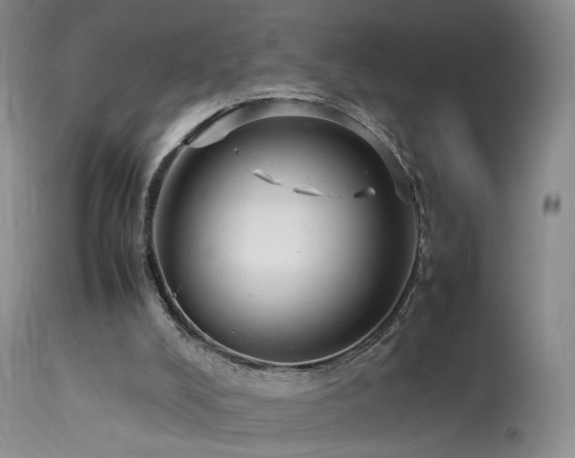 X0000113620008200909251217