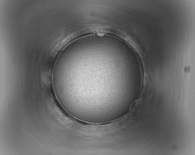 X0000113620009200909251217