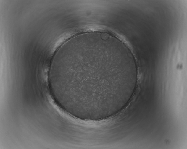 X0000113620010200909251217