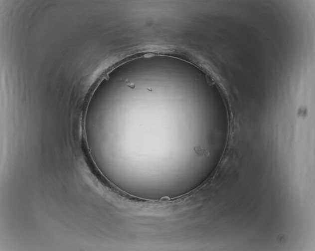 X0000113620011200909251217