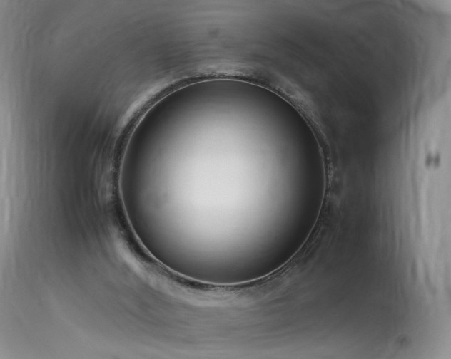 X0000113620012200909251217