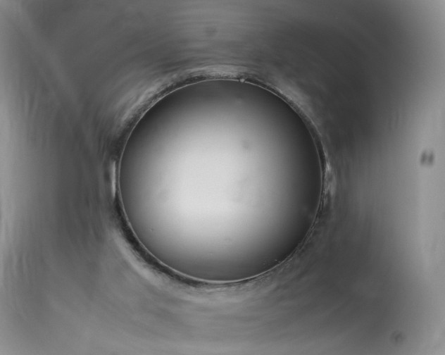 X0000113620013200909251217