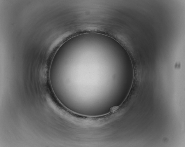 X0000113620016200909251217