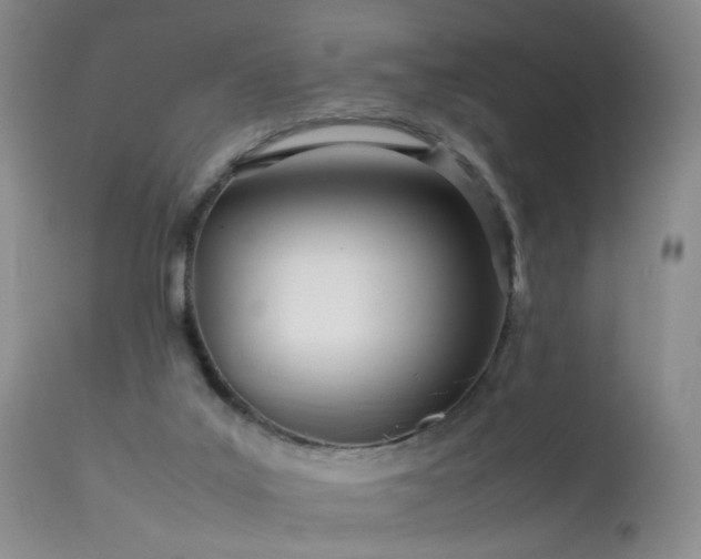 X0000113620019200909251217