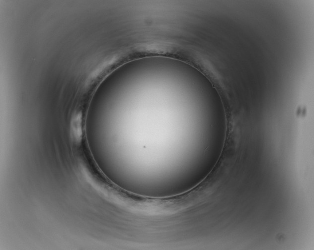 X0000113620020200909251217