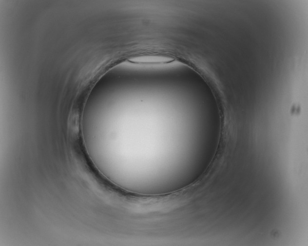 X0000113620021200909251217