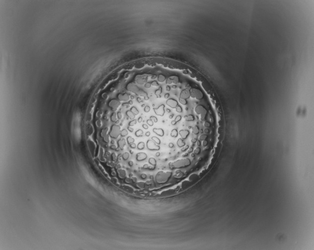 X0000113620022200909251217