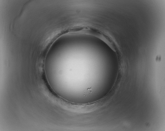 X0000113620023200909251217