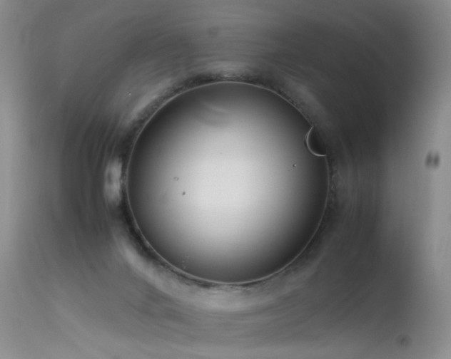 X0000113620024200909251217