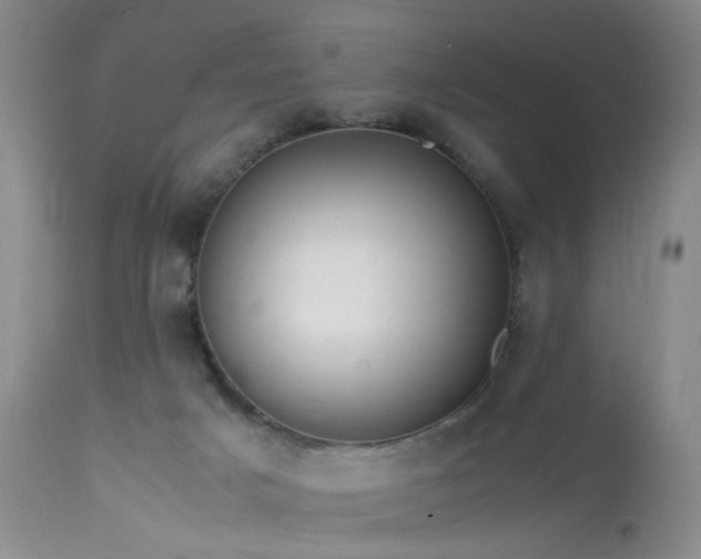 X0000113620025200909251217