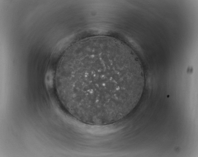 X0000113620026200909251217