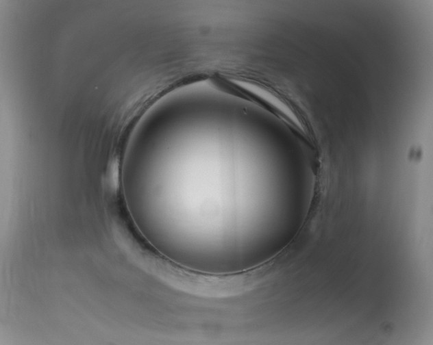 X0000113620027200909251217