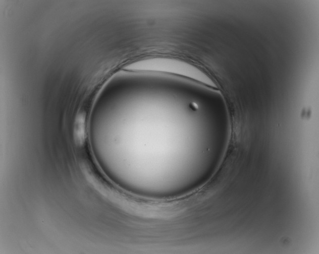 X0000113620028200909251217