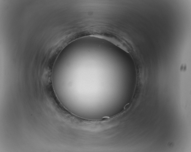 X0000113620029200909251217