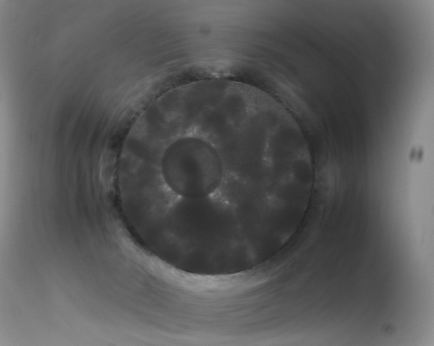 X0000113620030200909251217