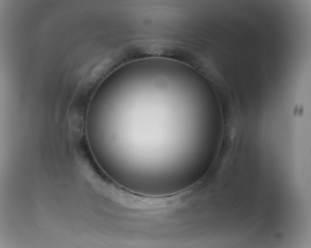 X0000113620031200909251217