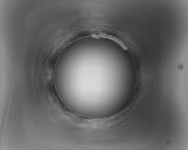 X0000113620033200909251217