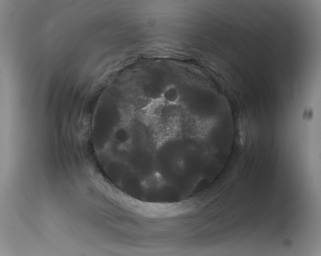 X0000113620034200909251217