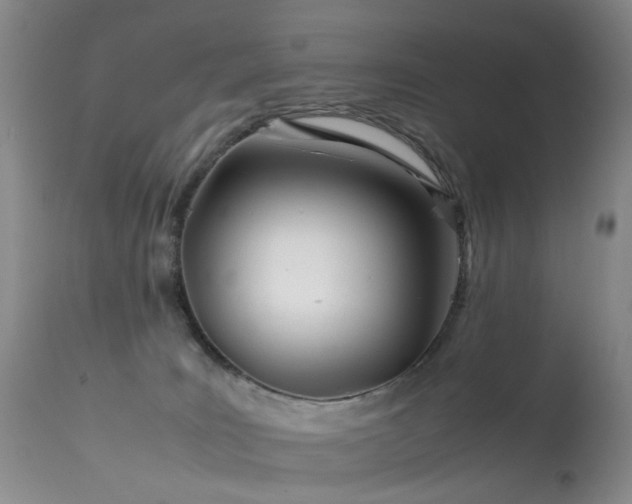 X0000113620035200909251217