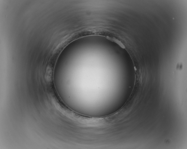 X0000113620036200909251217