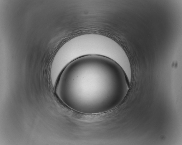 X0000113620037200909251217