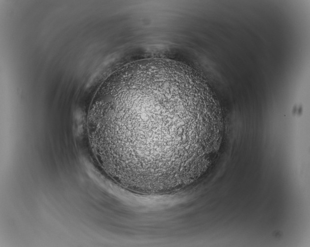 X0000113620038200909251217