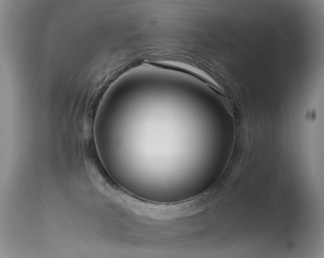 X0000113620039200909251216