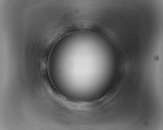 X0000113620040200909251216