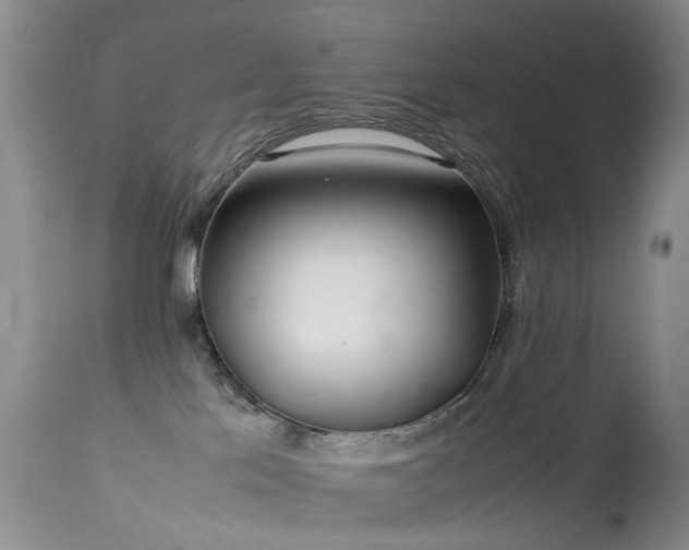 X0000113620041200909251216