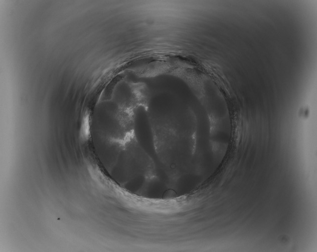 X0000113620042200909251216