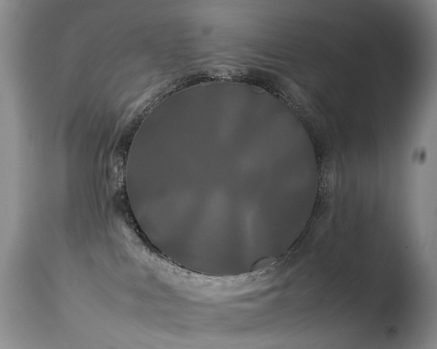 X0000113620043200909251216