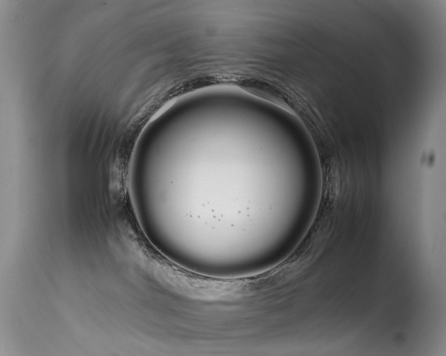 X0000113620044200909251216