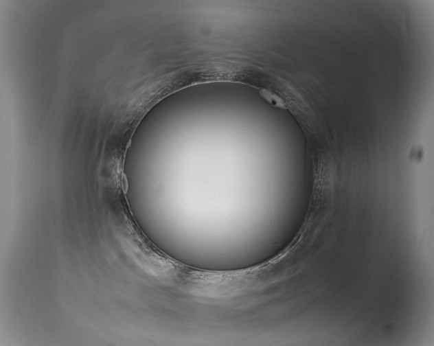 X0000113620045200909251216