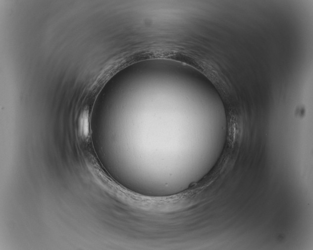 X0000113620046200909251216