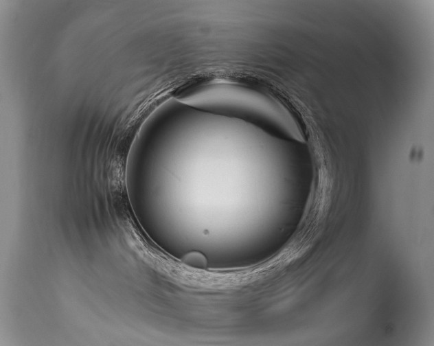 X0000113620048200909251216