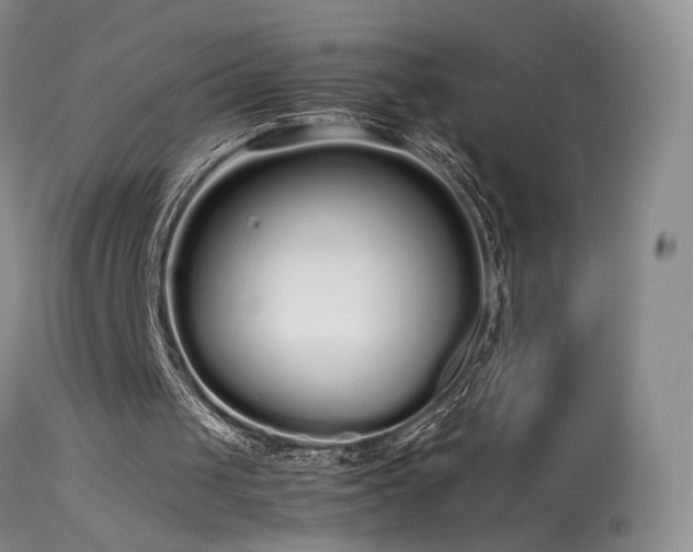 X0000113620049200909251216