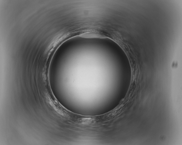 X0000113620050200909251216