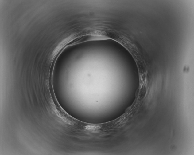 X0000113620051200909251216