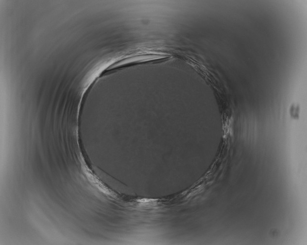 X0000113620052200909251216