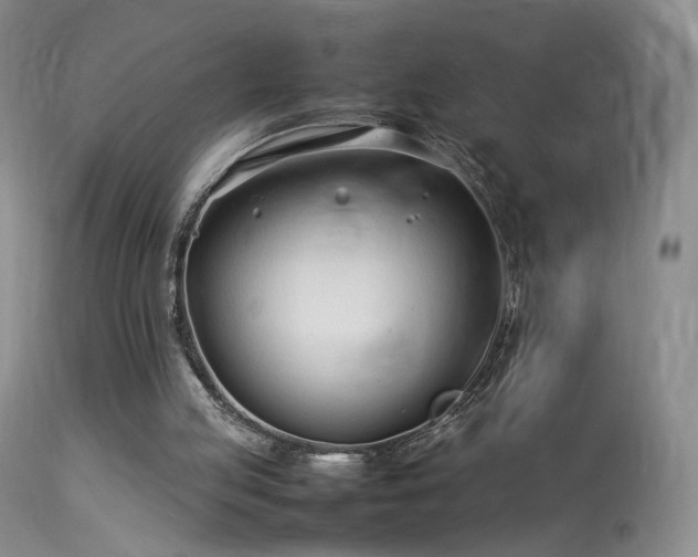 X0000113620053200909251216