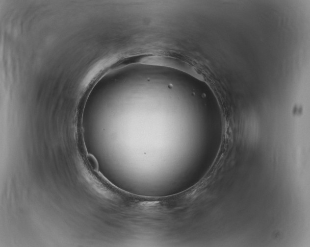 X0000113620054200909251216