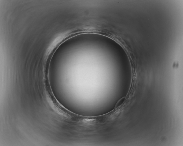 X0000113620055200909251216