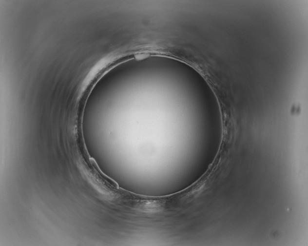 X0000113620056200909251216