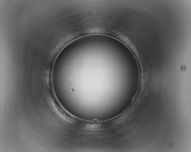 X0000113620057200909251216