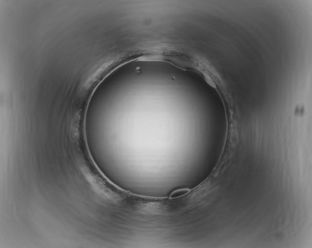 X0000113620058200909251216