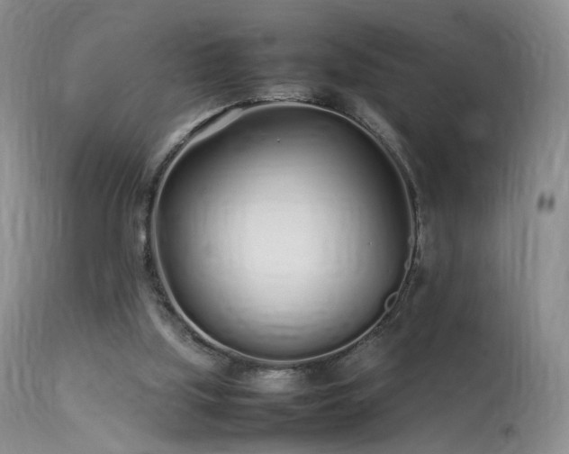 X0000113620059200909251216