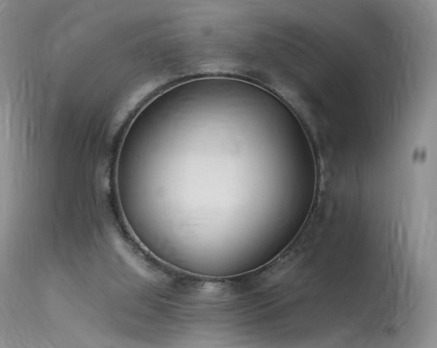 X0000113620060200909251216