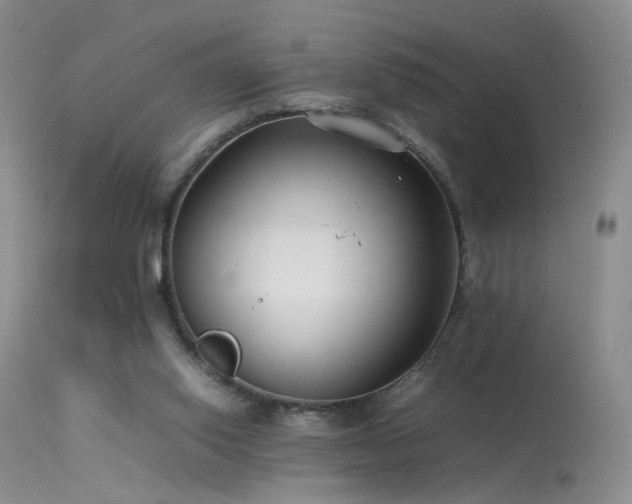 X0000113620062200909251216