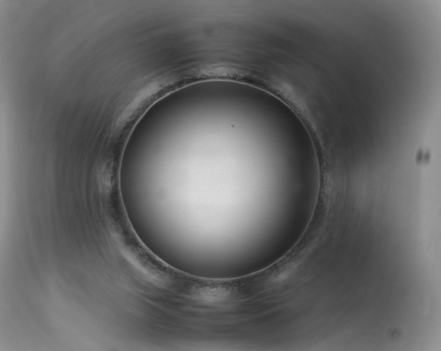 X0000113620063200909251216