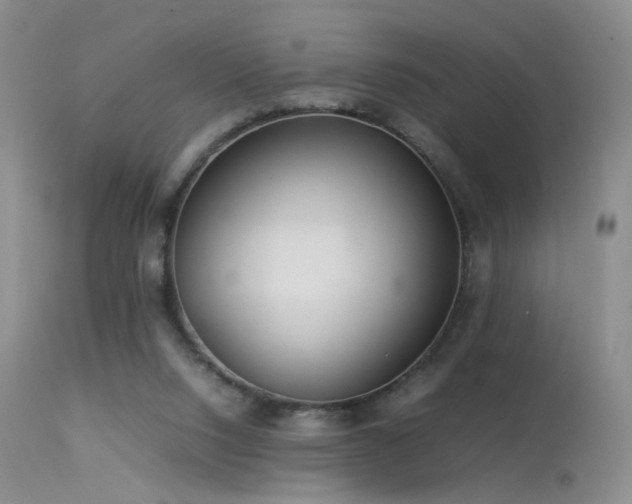 X0000113620064200909251216